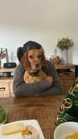 Photo de profil du pet sitter : Lina J.