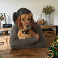 Photo de profil du pet sitter : Lina J.