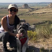 Best Dog Boarding In Bellevue Ne Rover Com