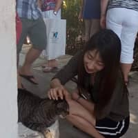 Sitter Profile Image: Young L.