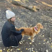 Passarens profilbild: Ellen D.