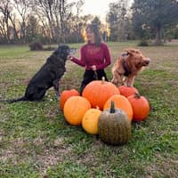 Sitter Profile Image: Kaitlyn H.