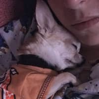 Foto del cuidador: Laura I.