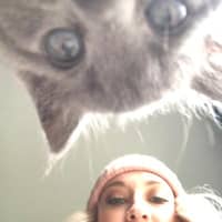 Sitter Profile Image: Stevie S.