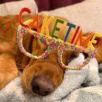 Sitter Profile Image: Bobbie S.