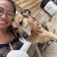 Photo de profil du pet sitter : Stella F.