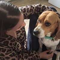 Photo de profil du pet sitter : Morgane C.