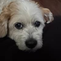 Sitter Profile Image: Jody R.