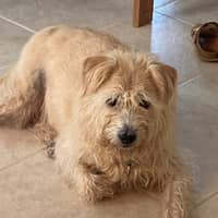 Sitter Profile Image: Jane E.