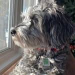 Sitter Profile Image: Emma P.