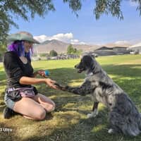 Sitter Profile Image: Tyisha B.