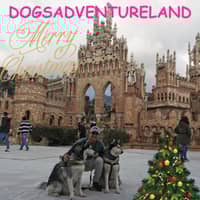 Foto del cuidador: Alberto P.