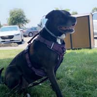 Sitter Profile Image: Angela G.