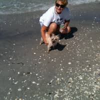 Sitter Profile Image: Liz C.