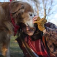 Sitter Profile Image: Mandy P.