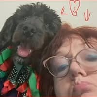 Sitter Profile Image: Mary B.