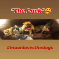 Sitter Profile Image: Sharun R.