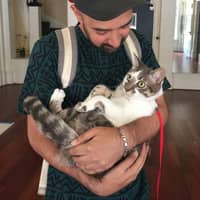 Best Pet Sitters In San Francisco Ca Rover Com