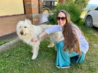 Sitter Profile Image: Tara B.