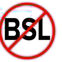 Sitter Profile Image: Valerie J.