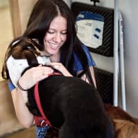 Sitter Profile Image: Lisa S.