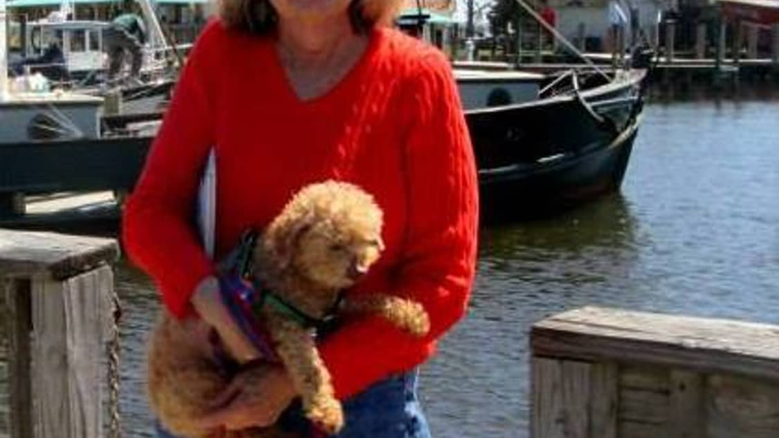 Best Dog Boarding In Richlands Nc Rover Com