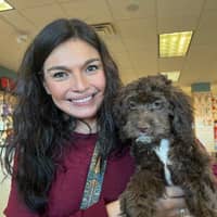 Sitter Profile Image: Patricia & Steven j.