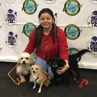 Sitter Profile Image: Helen Y.