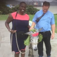 Sitter Profile Image: Rachelle & Anthony P.