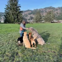 Sitter Profile Image: Markaye S.