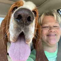 Sitter Profile Image: April H.