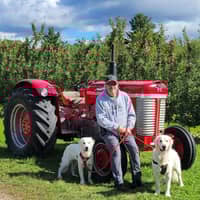 Sitter Profile Image: Lisa Z.