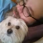 Sitter Profile Image: Michael J K.