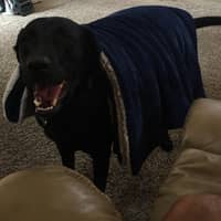 Sitter Profile Image: Floyd C.