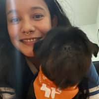 Sitter Profile Image: Suki K.