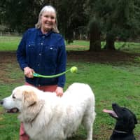 Best Dog Boarding In Sammamish Wa Rover Com