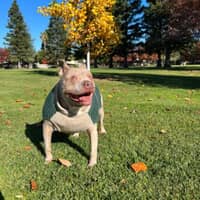 Sitter Profile Image: Janica V.