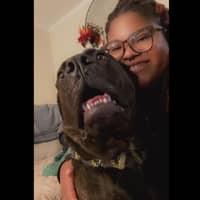 Sitter Profile Image: Helena B.