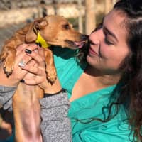 Sitter Profile Image: Nicole P.