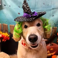 Sitter Profile Image: Carrie E.