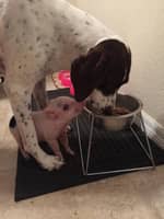 Sitter Profile Image: Kathy J.