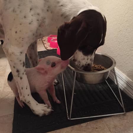 Sitter Profile Image: Kathy J.