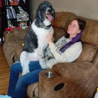 Sitter Profile Image: Genniver S.