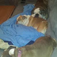 Sitter Profile Image: Denise & Savannah V.