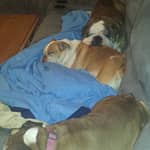 Sitter Profile Image: Denise & Savannah V.