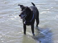 Sitter Profile Image: Judy D. & Pam B.