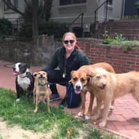 Sitter Profile Image: Claire S.