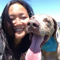 Sitter Profile Image: Yena P.