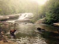 Sitter Profile Image: Annu D.