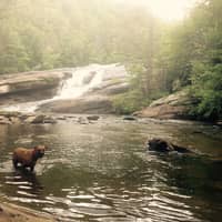 Sitter Profile Image: Annu D.